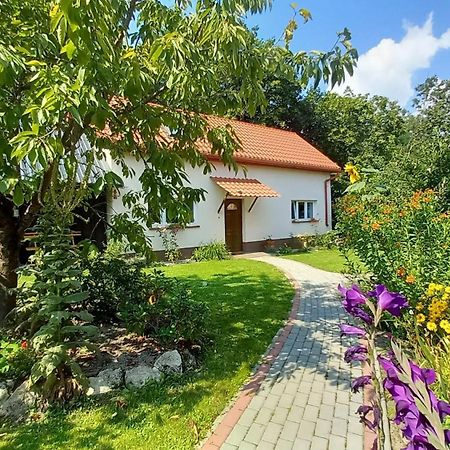Вилла Ranczo Na Skarpie Frampol Экстерьер фото